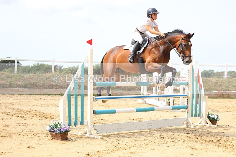 3E7A4320 - Class 8: Senior Foxhunter/1.20 open