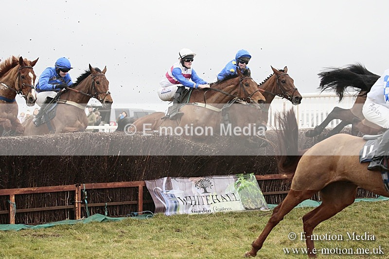 PtP 180218 377 - Combined Services Point-to-Point Larkhill 18/02/18