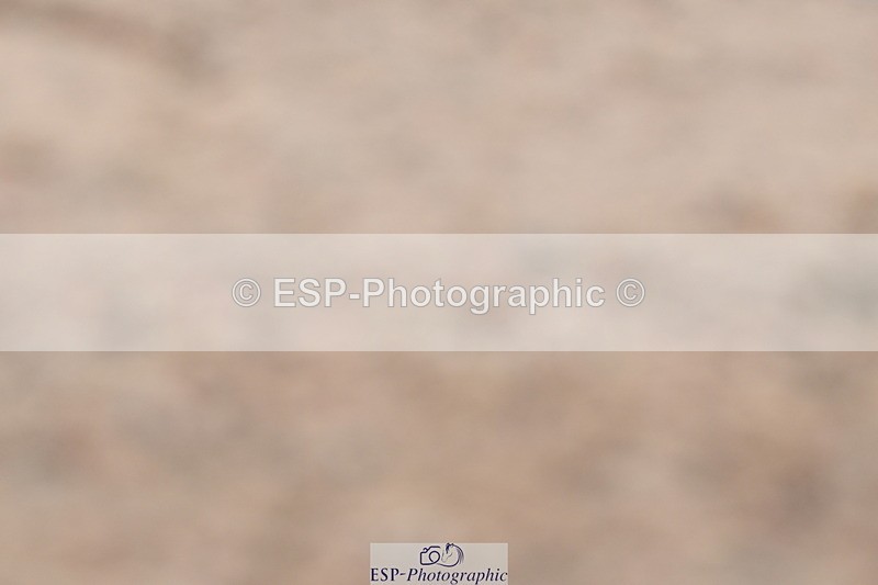 240706A-125901-02162 - Cls 3C Jnr Prelim 18