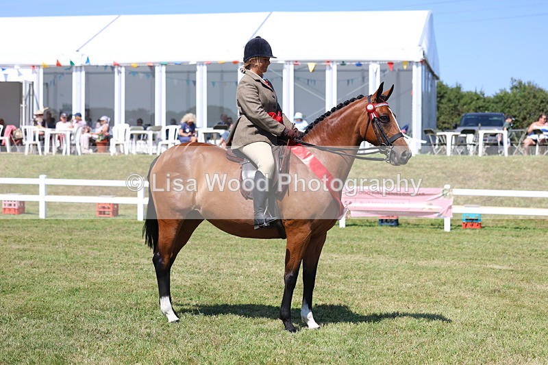 3E7A7604 - Rising Star Ridden Championship