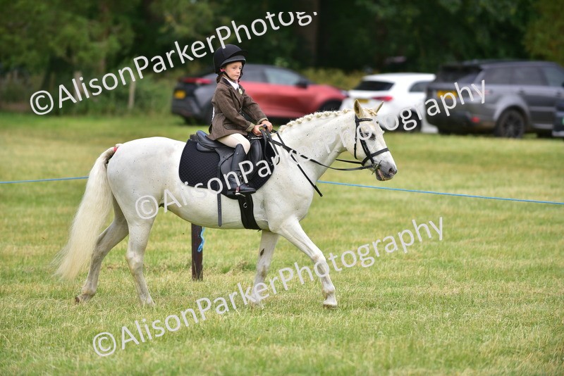 20260614-3632 - Class 15 - Prettiest Mare