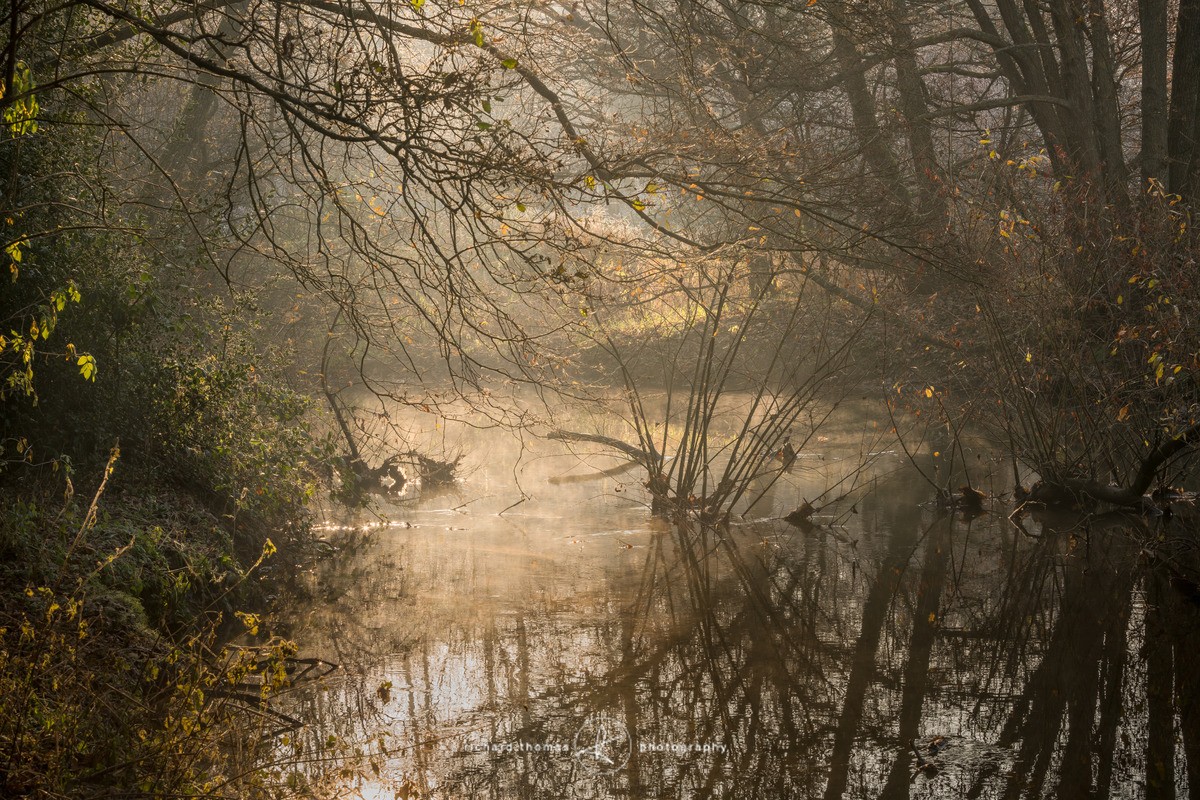 Frensham flow - Frensham