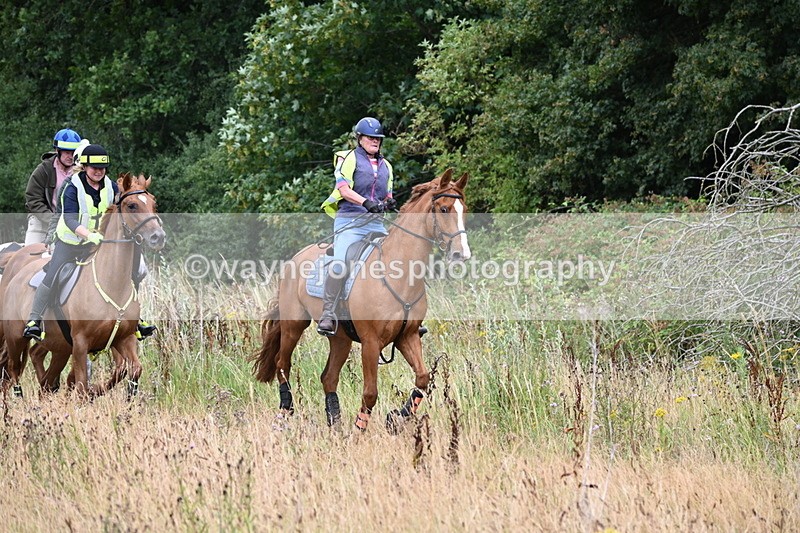WJ6_2329 - Group 7