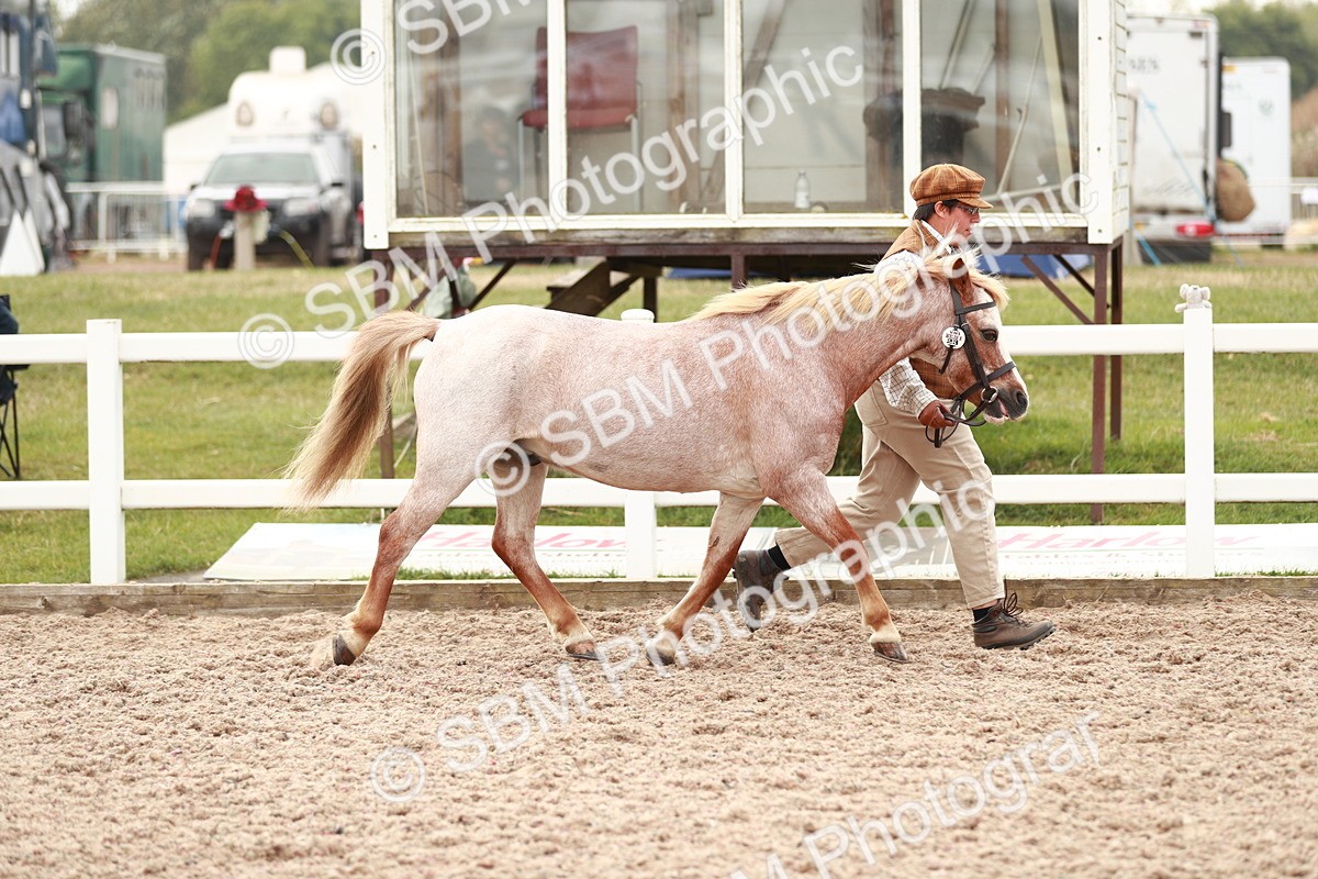 SBM_12447 - Class 207 IH M&M