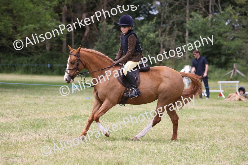 20260614-2902 - Class 22 - Open Working Hunter