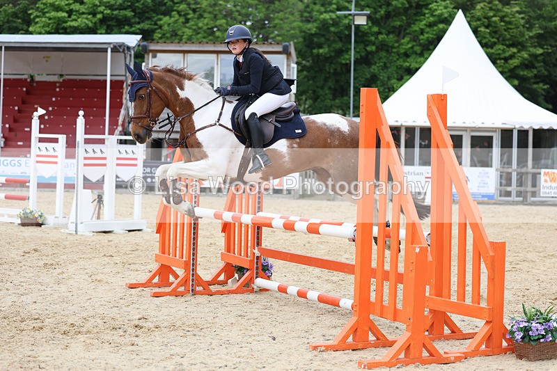 3E7A0123 - Class 13: Pony British Novice/80cm open