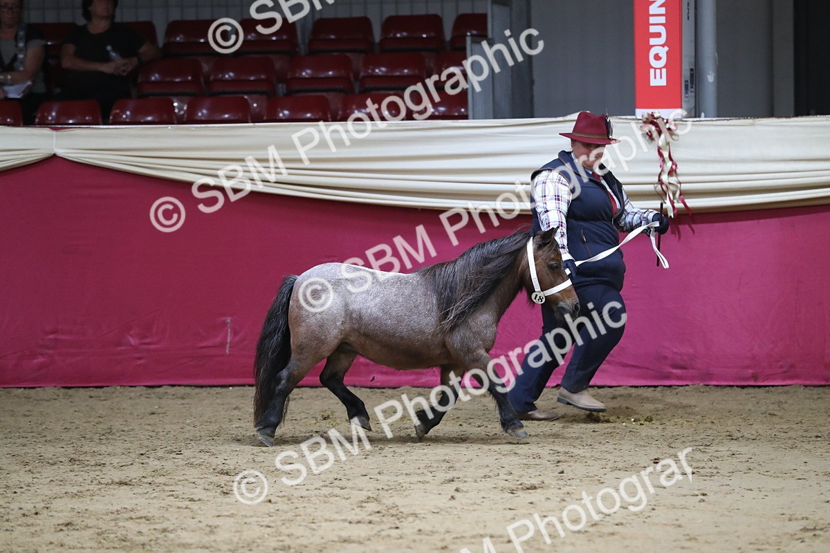 SBM_06369 - Class 9R Regional- IH Pre Vet