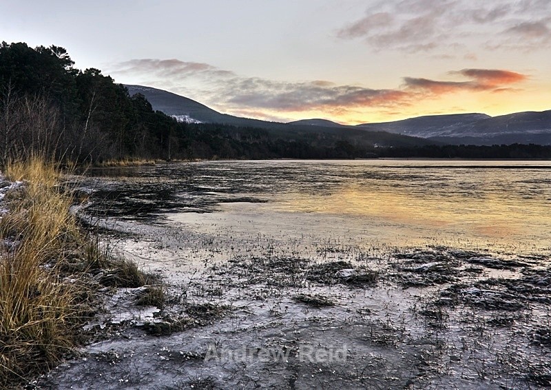  - Landscapes