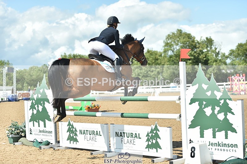 230723A-155152-13206 - Cls 16, 1 Star Bronze 1.15m