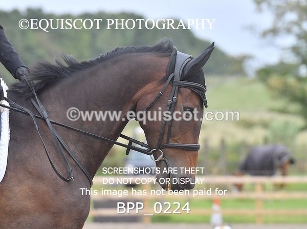 BPP_0224 - NOVICE 4 & 6