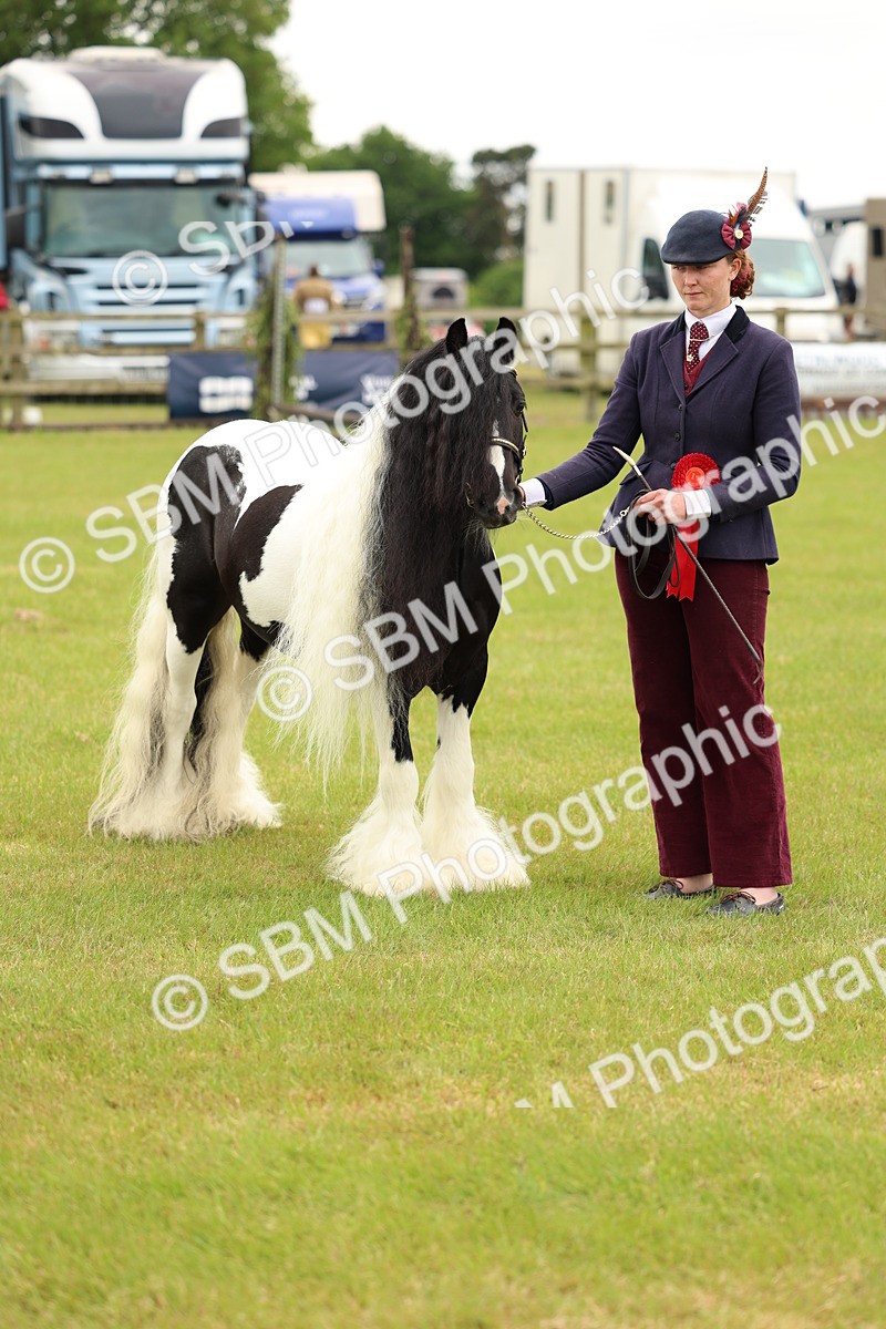SBM_06302 - Class 39-41 TGCA In Hand and Ridden