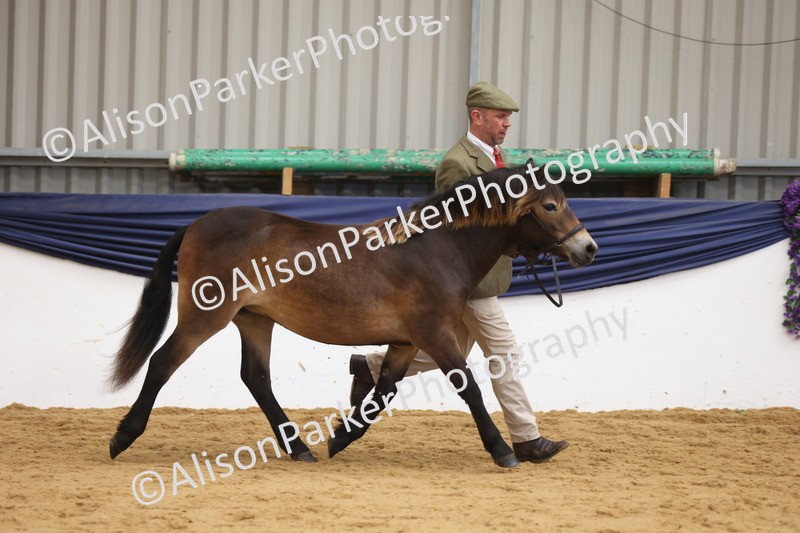 20260913-1666 - Pony of the Year Championship