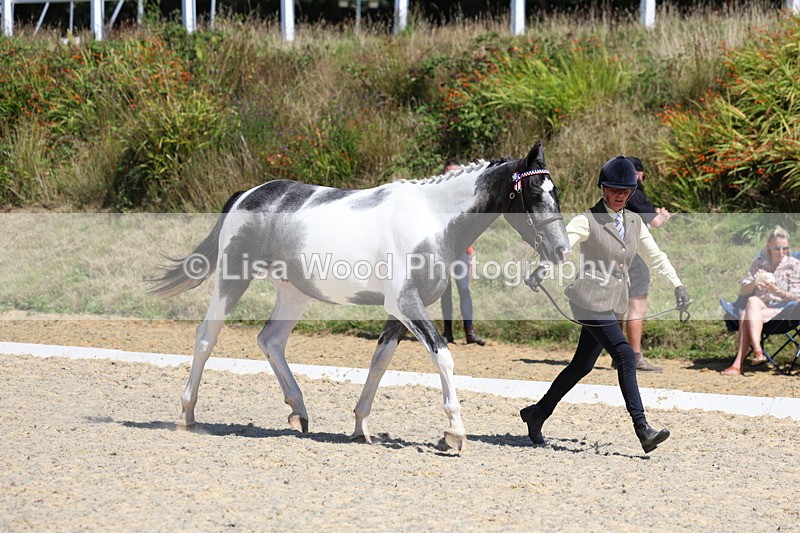 3E7A9661 - Class 32: Best Grass Kept