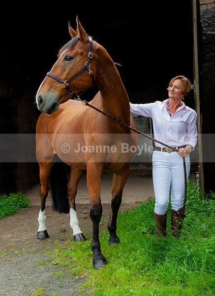 IMG_6348ad - Equine Gallery Portfolio