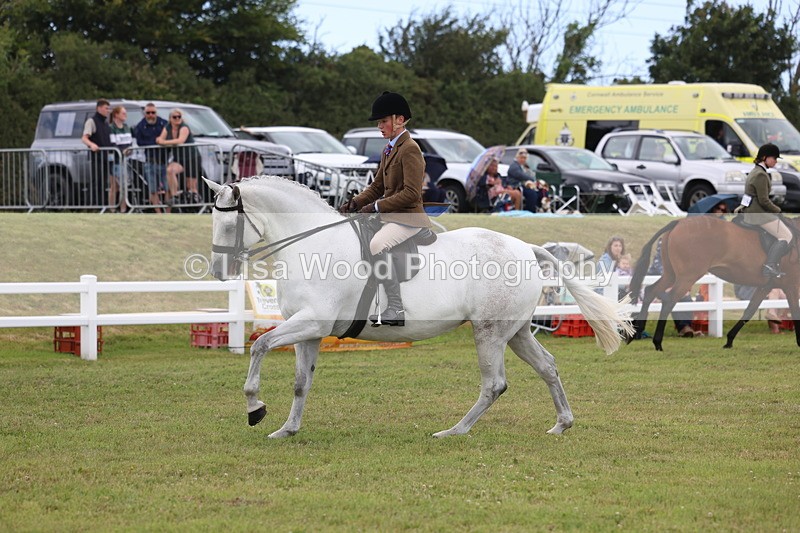 3E7A1449 - Class 9: Open Hunter