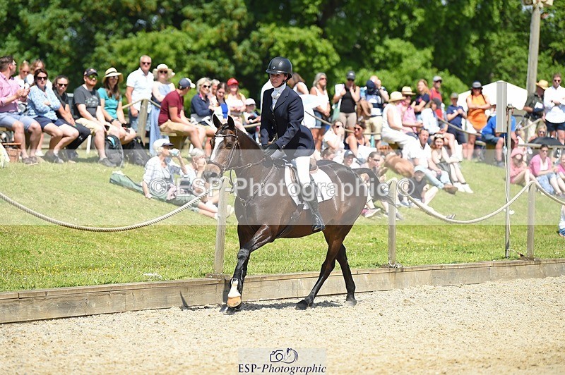 230528-113720-15290 - 320-CAVALIER_GUNFIRE-Tabitha_Baker-SUNTrotUp+SJ