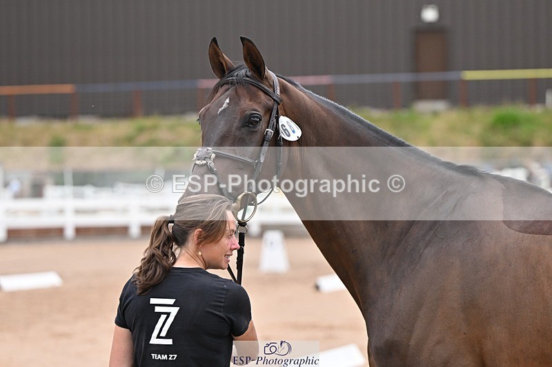 250716-140848-00936 - Trot Up 1.30 to 2.30