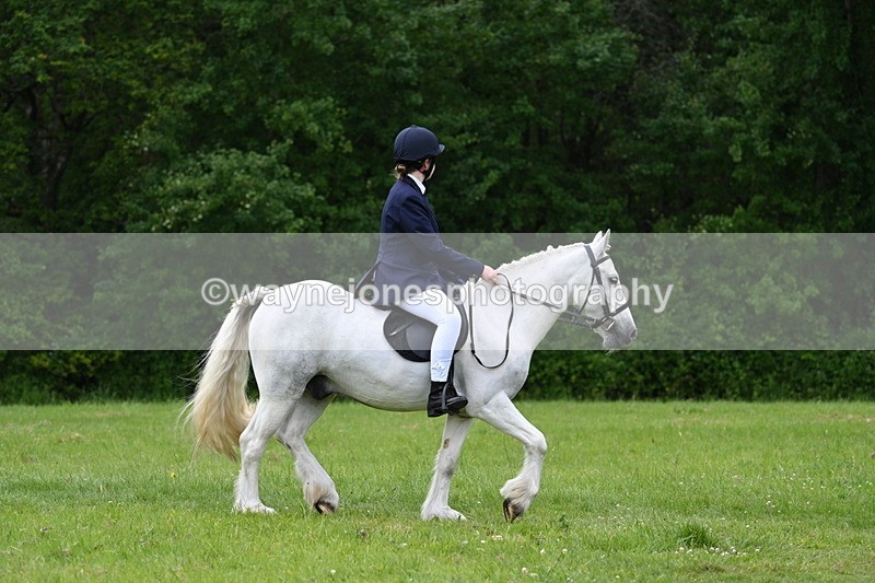 WJ7_2604 - Class 12A Coloured Class