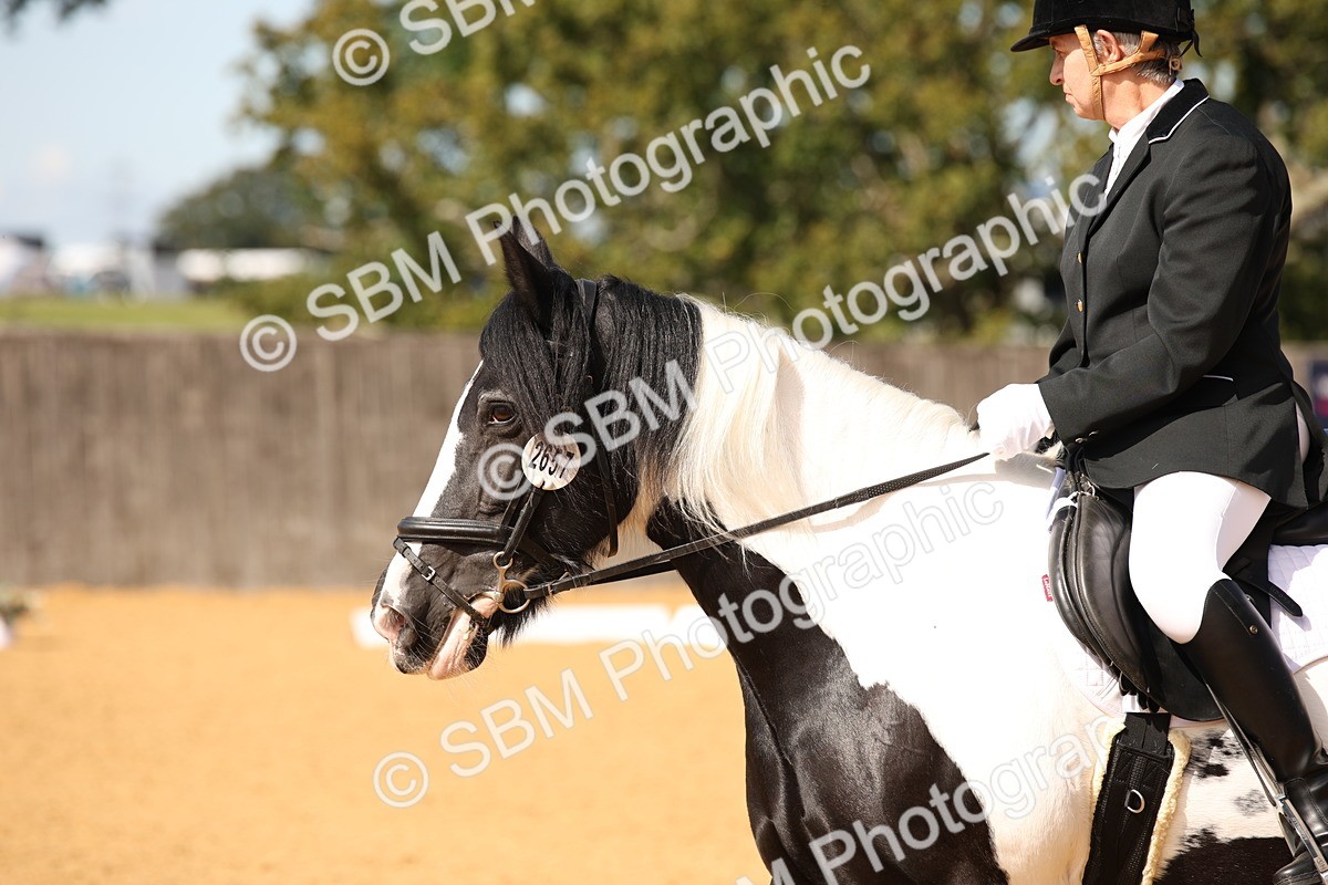 SBM_21841_D5 - Small Tour Championship - Intro C - Theresa Huttom