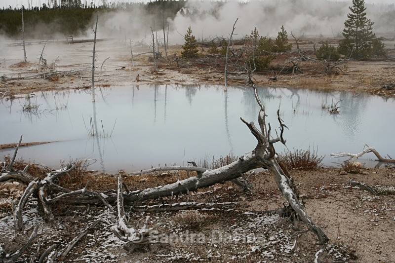  - Yellowstone