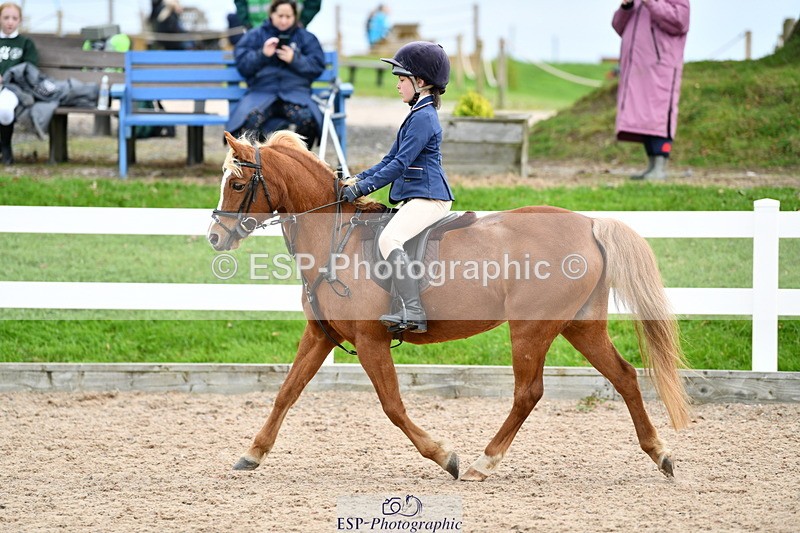 241013B-124755-01035 - Cls 3 50cm