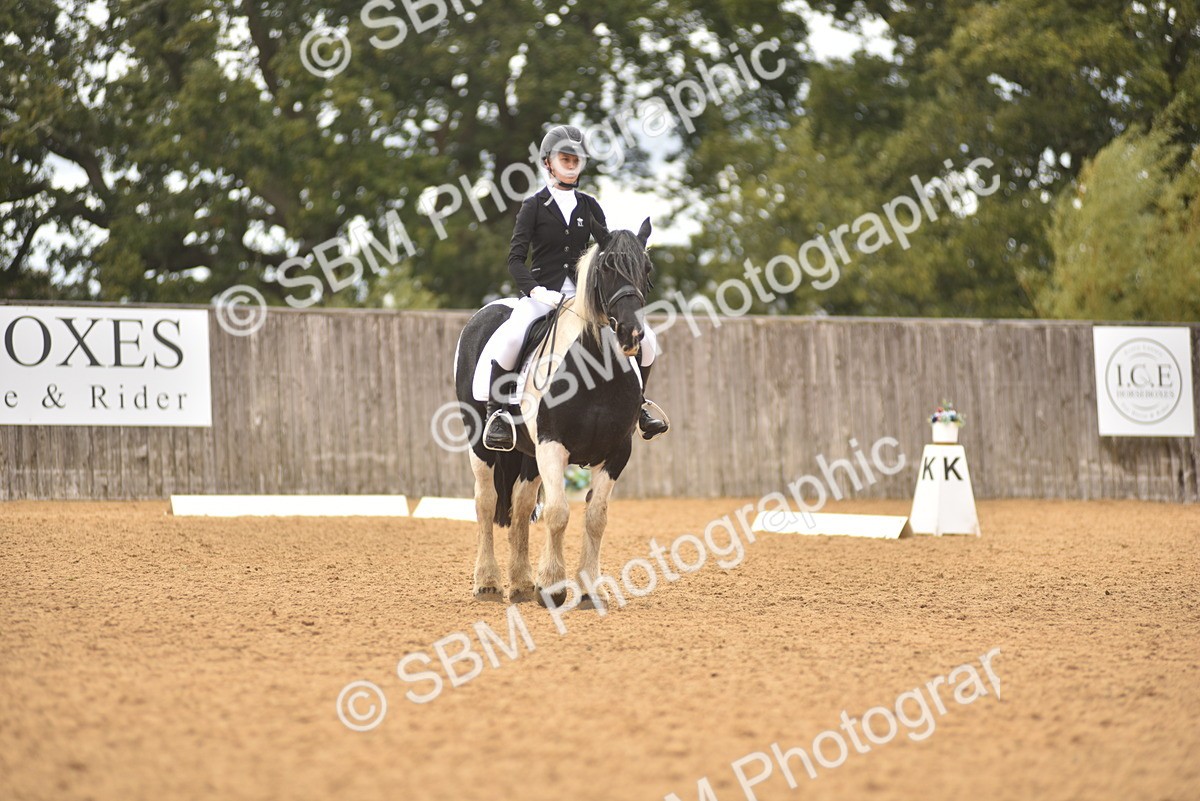 SBM_42550 - D22 - Junior Championship Intro 3