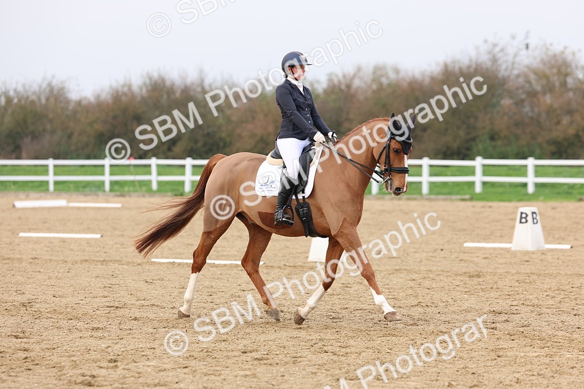 SBM_008448 - Class 11 - Medium 5