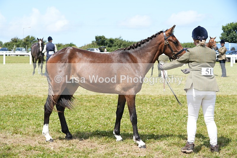 DSC06252 - Class 54: Hunter/Riding Horse/Hack 1 & 2 yr olds