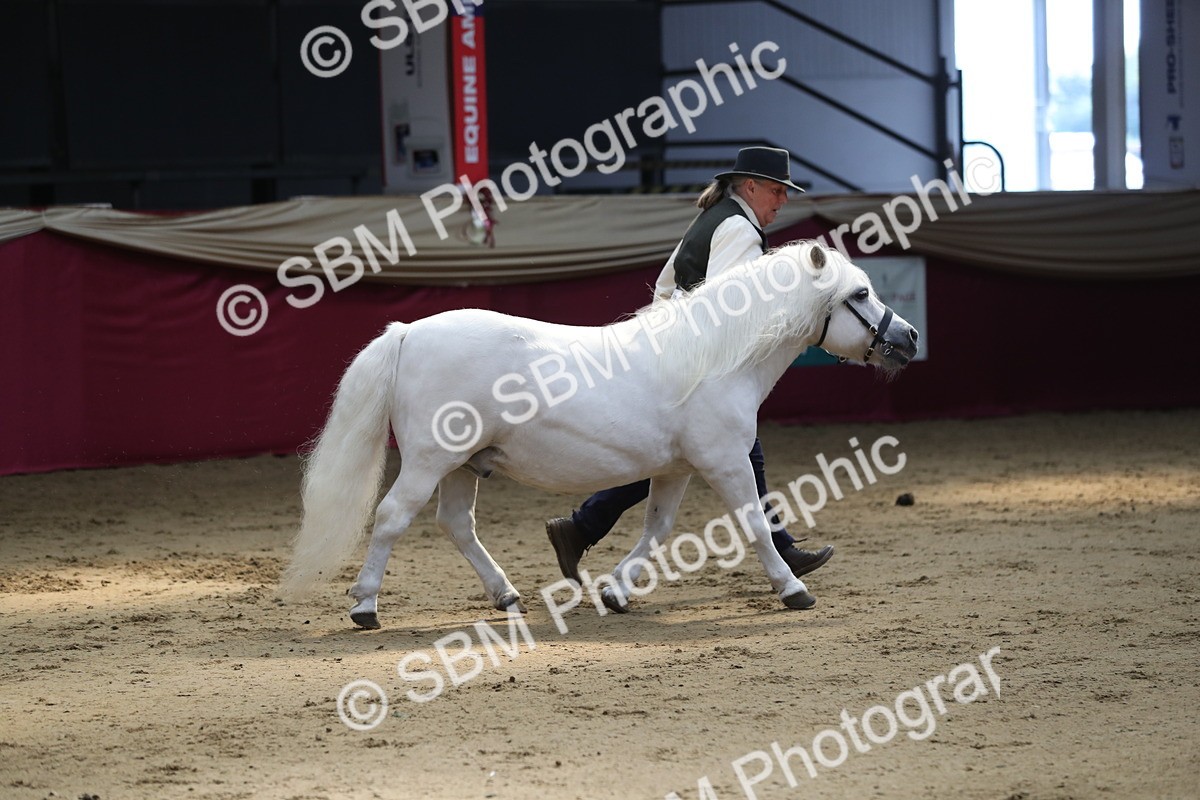 SBM_04922 - Class 8R- Regional -IH Veteran