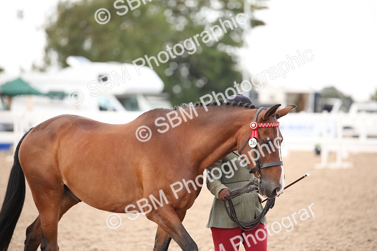 SBM_08223 - Class 27 - IH Competition Horse-Pony
