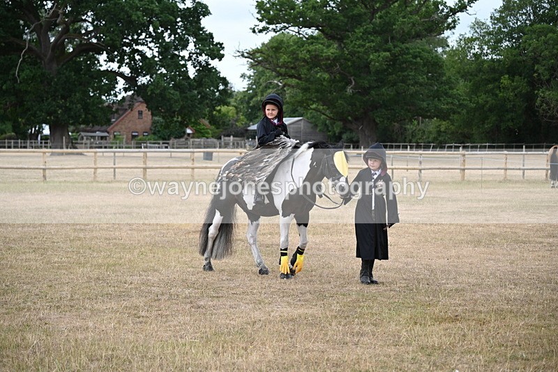 WJ6_8739 - Class 11 Fancy Dress