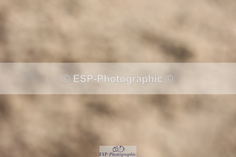 250427-160804-18346 - Cls 24 - 1 Star Gold Tour