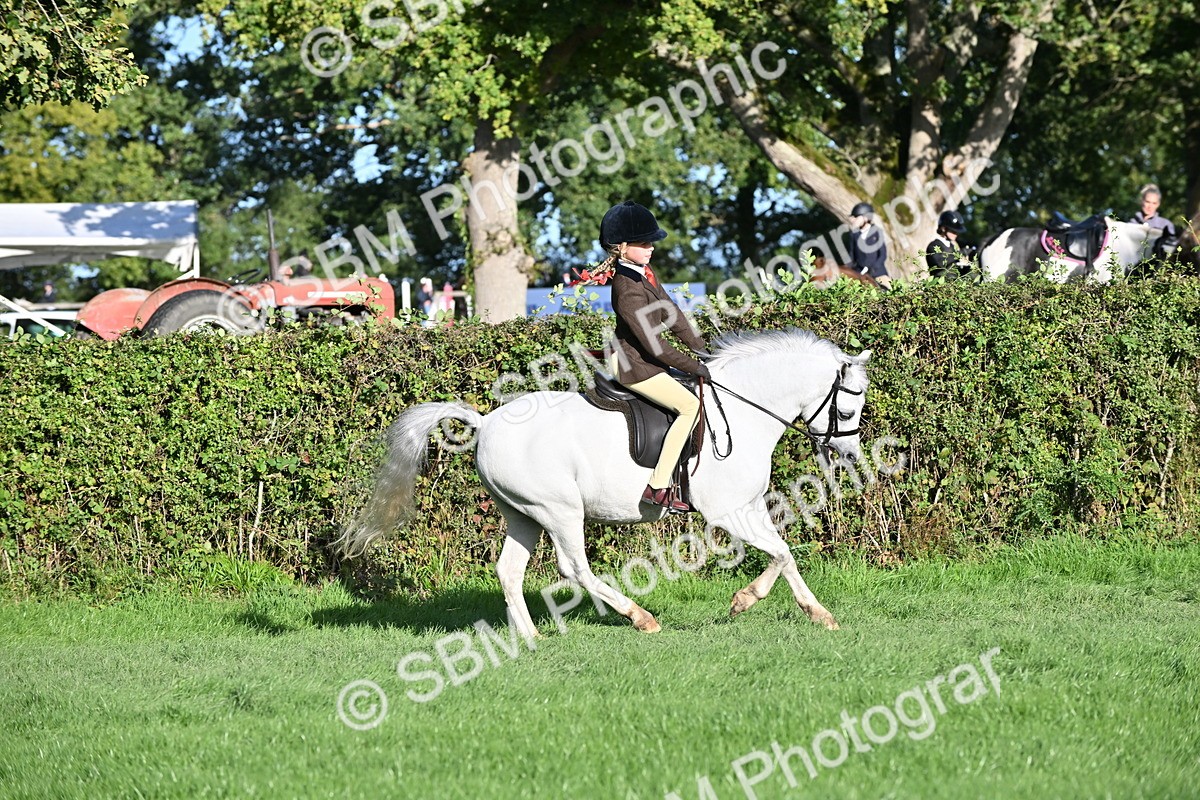 SBM_53010 - S23 - First Ridden Mountain & Moorland Pony