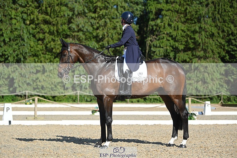 230526-172823-07617 - 263-CARWARTHEN_HARRIER-Polly_Muirhead-WEDTrotUp+DR