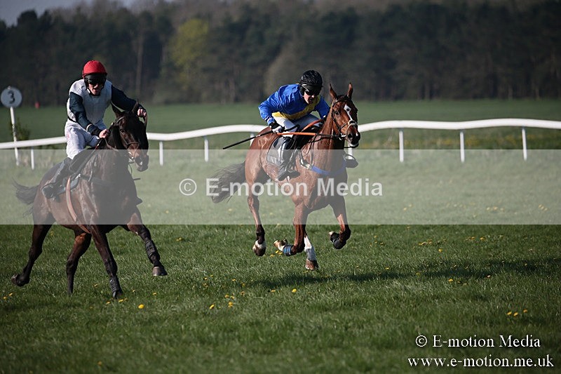 PtP 210418 633 - South & West Wilts Point-to-Point Larkhill 21/04/18