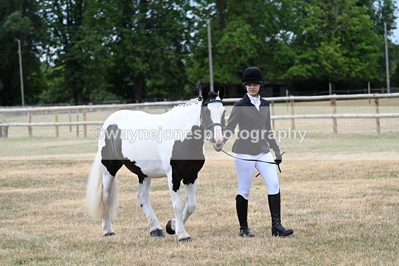 WJ7_1463 - Class 4 Prettiest Mare up to 14.2hh in hand