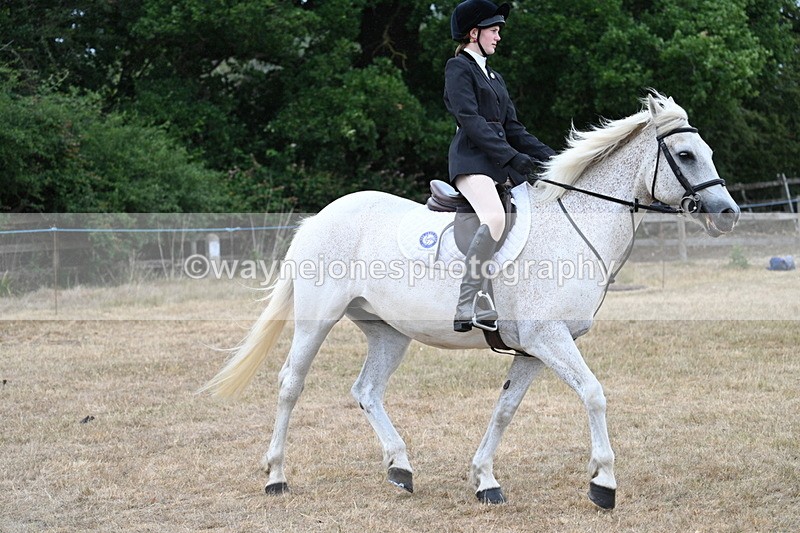 WJ7_0950 - Class 7 Riding Club Show Horse