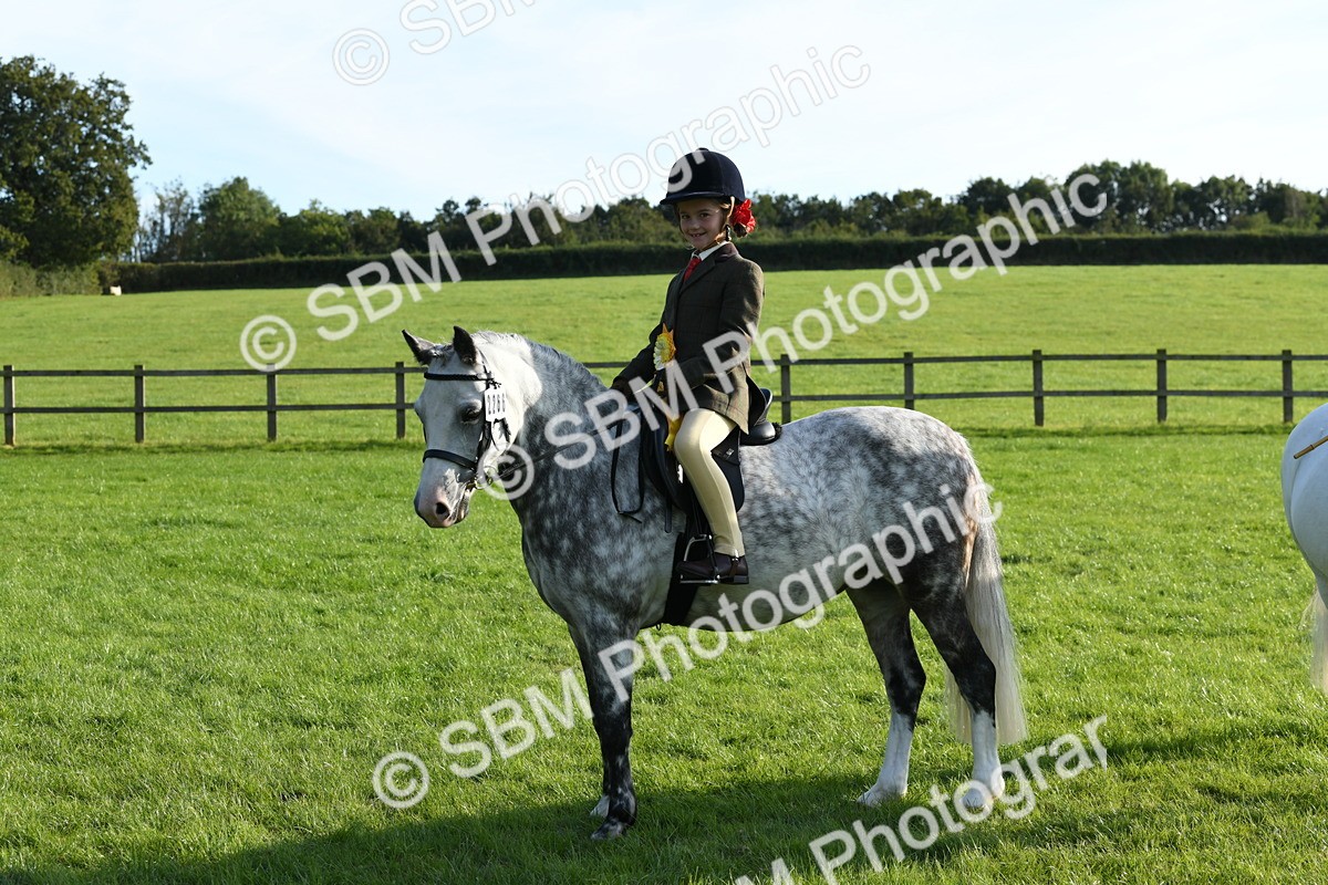 SBM_52445 - S22 - 1st Ridden Show & Show Hunter Pony