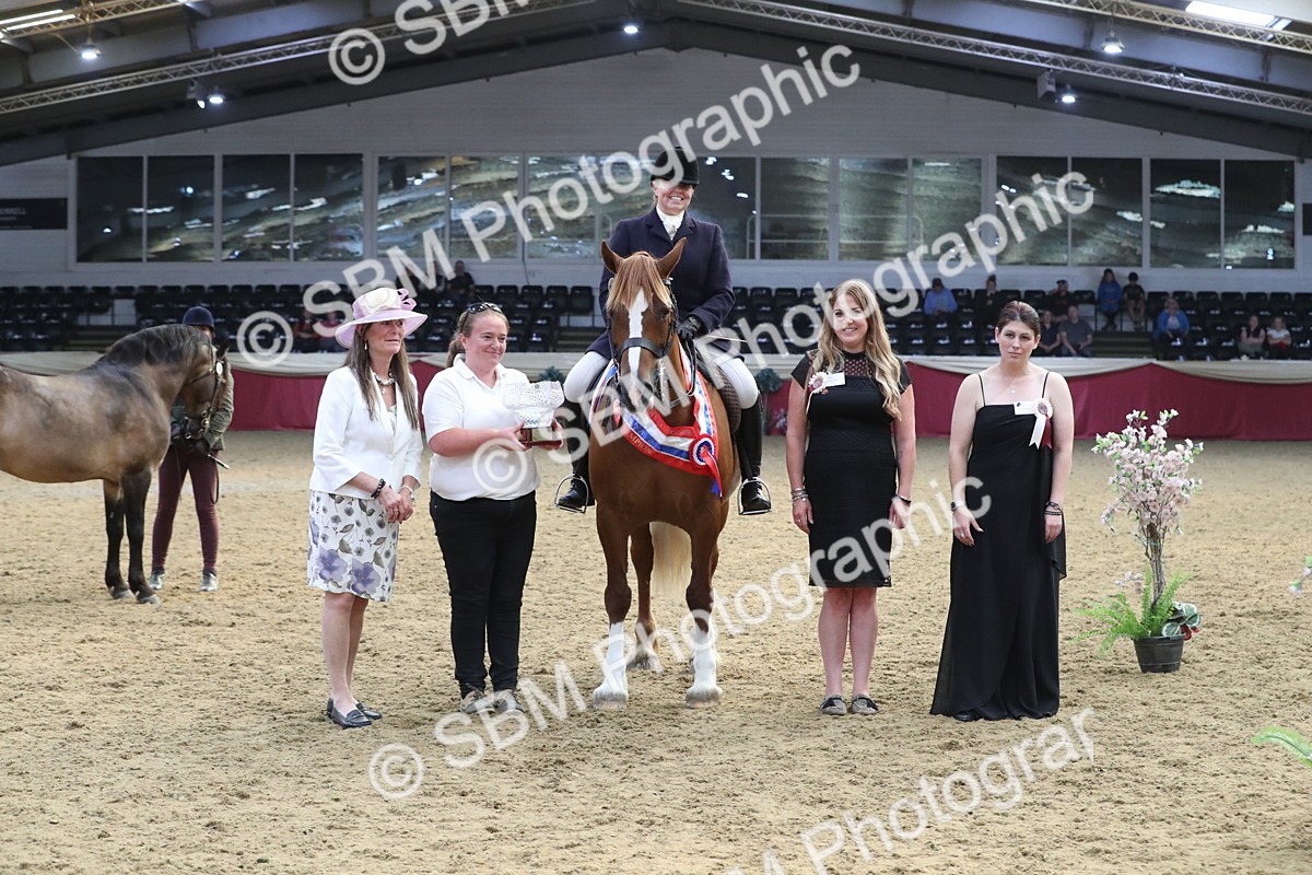 SBM_17212 - M&M Supreme Final Champ