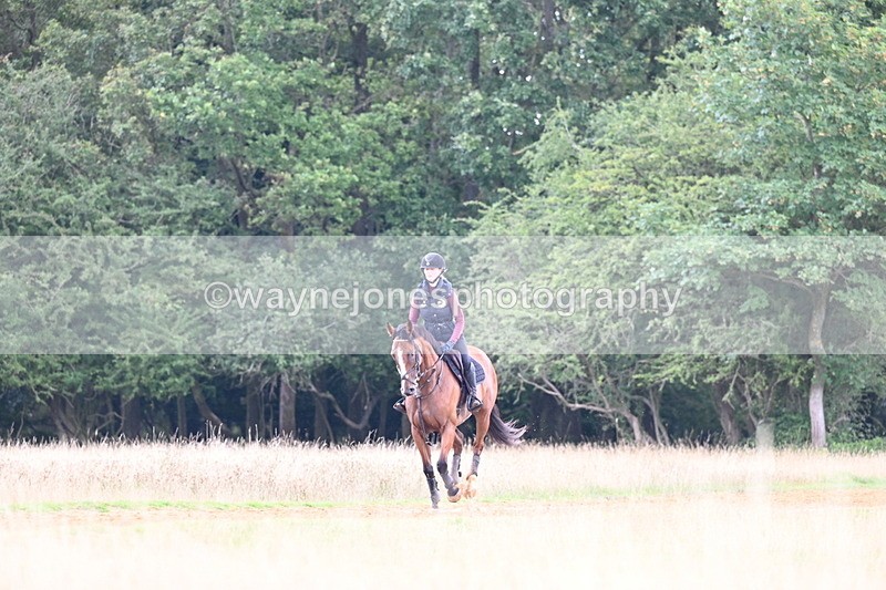 DSC_7361 - Time at Statue 13:16 to 13:52