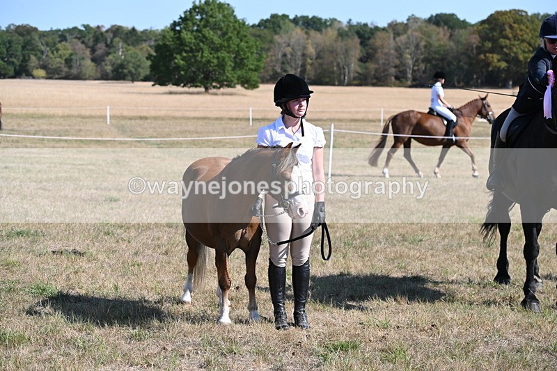 WJ6_7687 - Class 34 Judges Choice