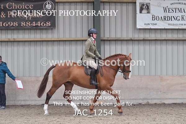 JAC_1254 - CLASS 8 BHS Scotland Riding Club Working Hunter Qualifier (1.00m)