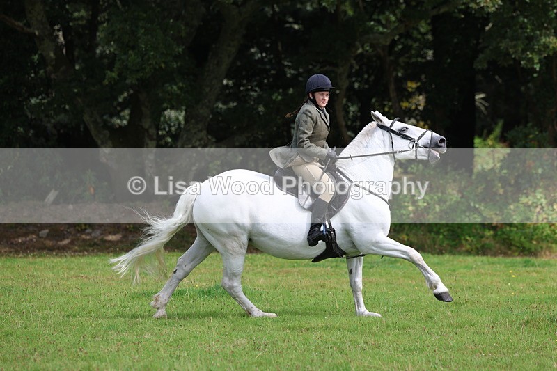 3E7A5865 - Class 26 and 27: 70cm Working Hunter