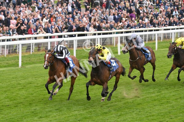 yr13052022r2-23 - Race 2 2.25pm Oaks Farm Stables Fillies' Stakes (registered as the Michael Seely Memorial Stakes)