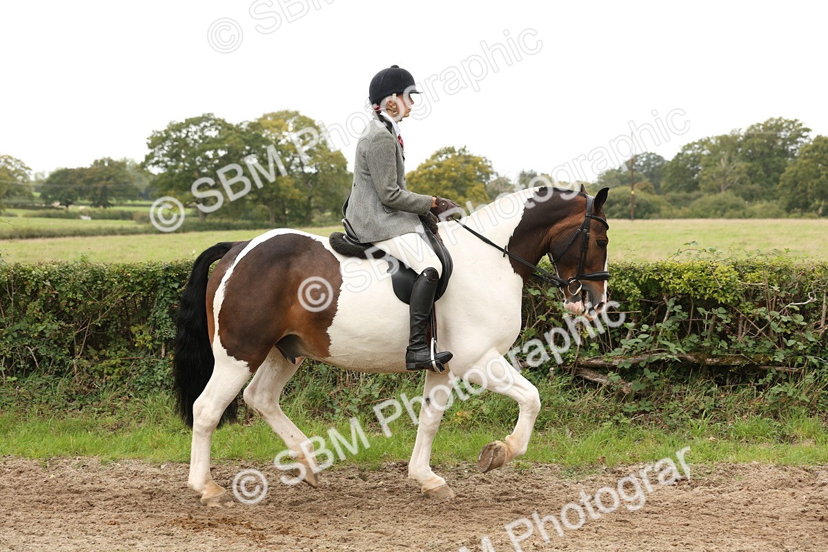 SBM_67206 - S67 - Piebald & Skewbald Horse Ridden