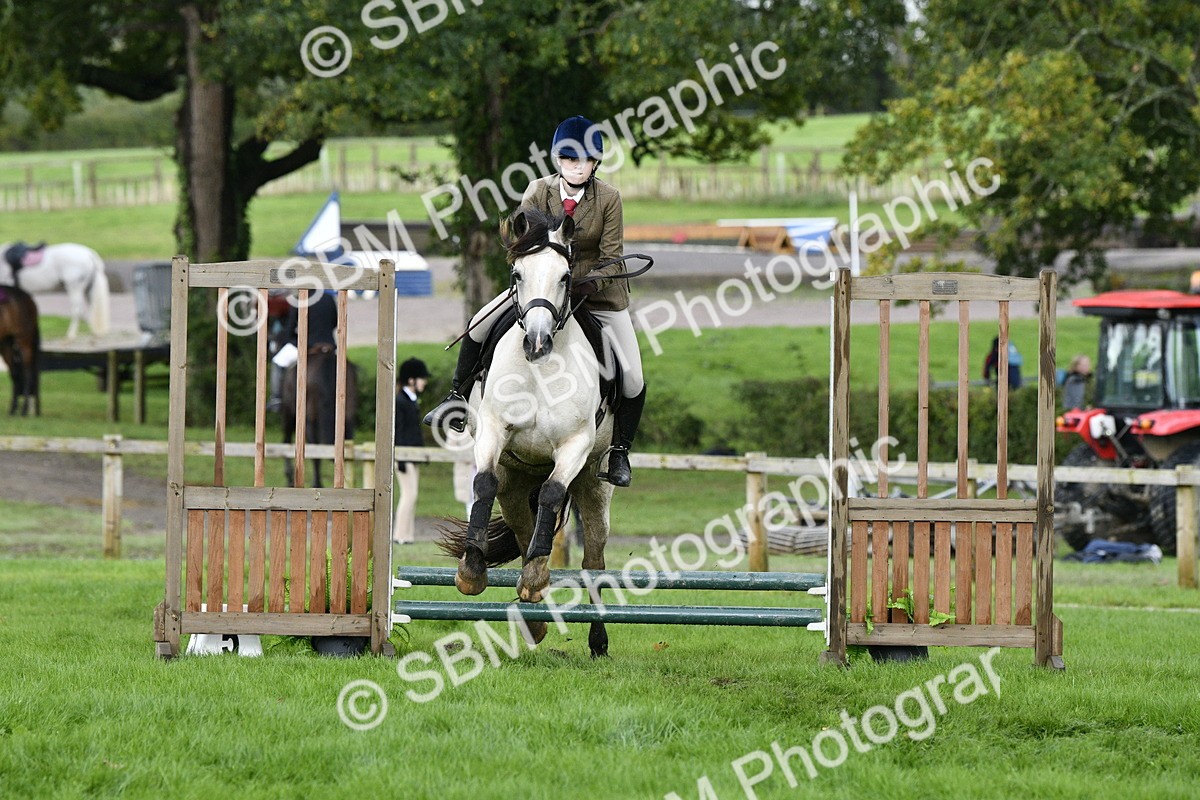SBM_41522 - S32 - Mountain & Moorland Working Hunter Pony