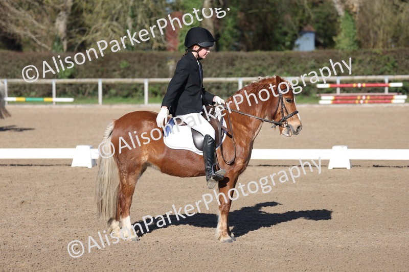 20260214-0288 - Class 3 - Prelim 2