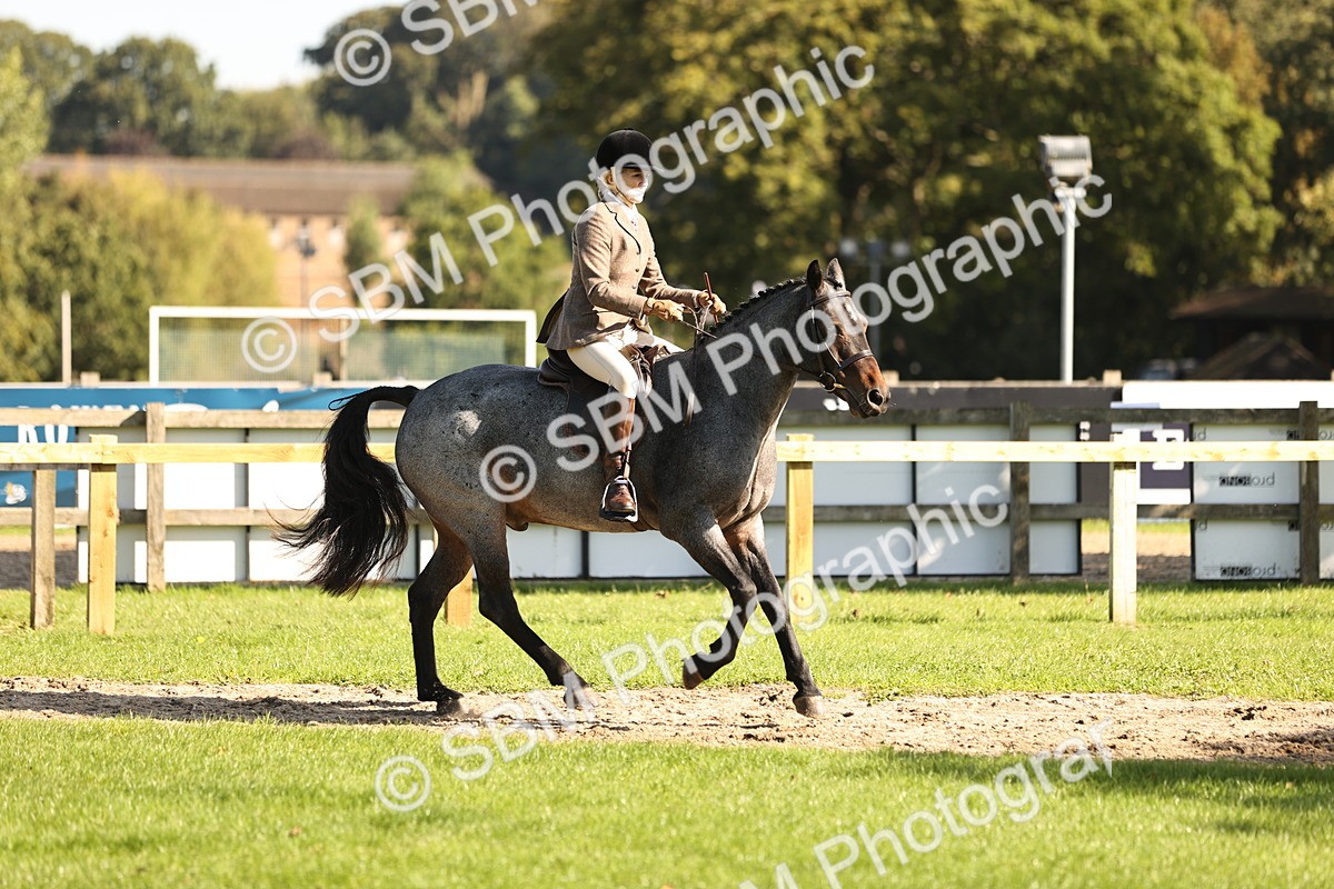 SBM_16975 - S2 - TSR Ridden Pony Showing