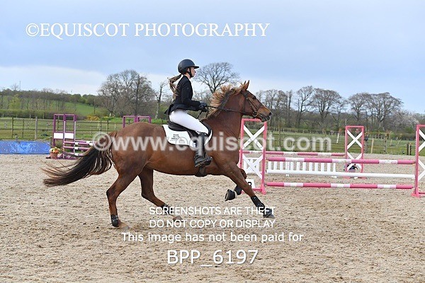 BPP_6197 - CLASS 29 SUN Club/ Unaffiliated 80cms Open