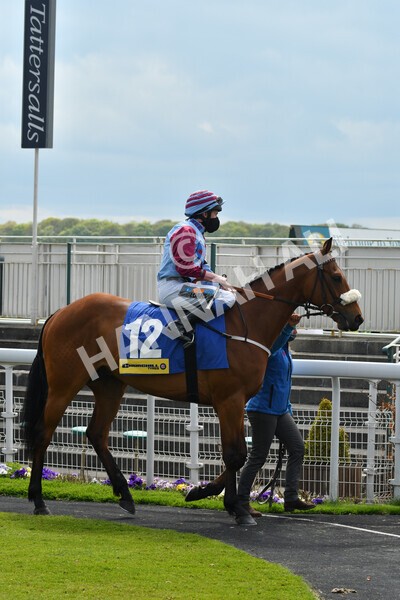 yr12052021r2-9 - Race 2 2.10pm Churchill Tyres Stakes